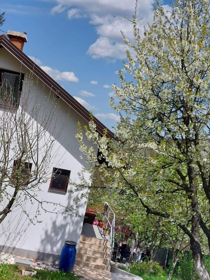 Kuca Za Odmor Ravne H&n Visoko